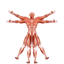 Dr. Muscle logo