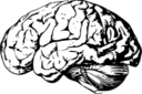 Namy.ai logo