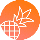 Pineapple Builder logo